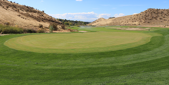 View of 14 Green After Construction