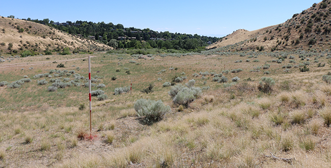 15 Tees Before Construction