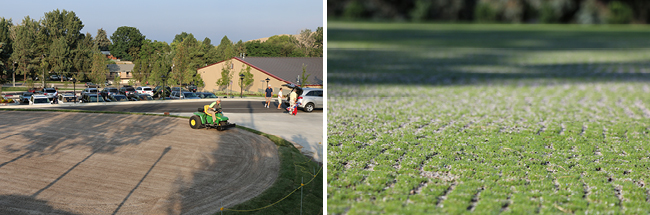 Putting Green Progress, 6 and 7 of 8